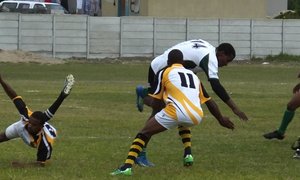 Black Leaves Speel Gelykop